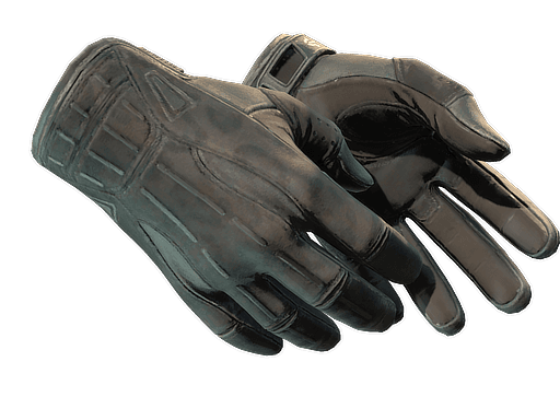 ★ Sport Gloves | Nocts